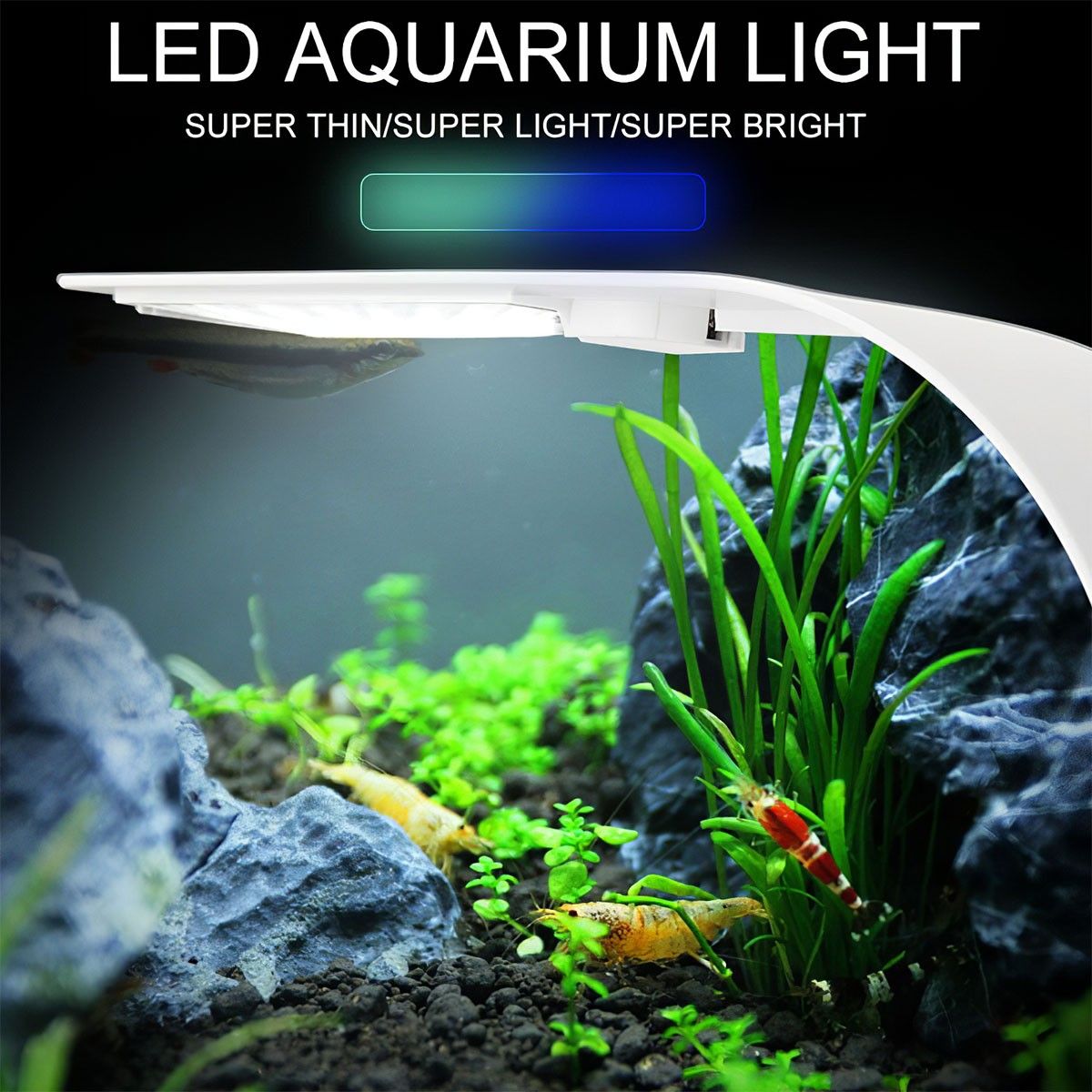 Gustave 10W Super Slim Aquarium LED Light Clip-on Lamp For Fish Tank， Aquatic Plant Lighting -White and Blue Light