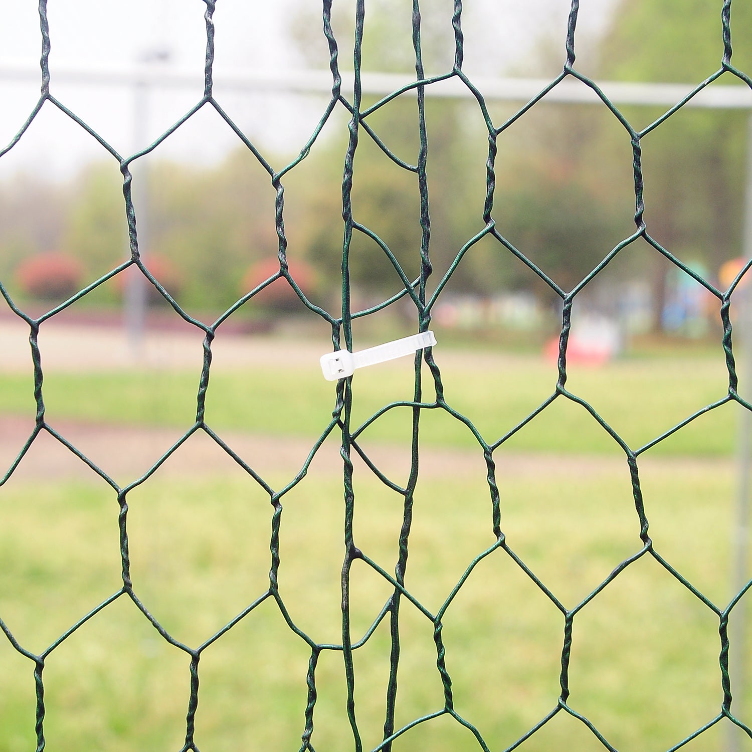 10x10ft Walk in Large Metal Chicken Coop Run Backyard Hen House Poultry Rabbit Cage