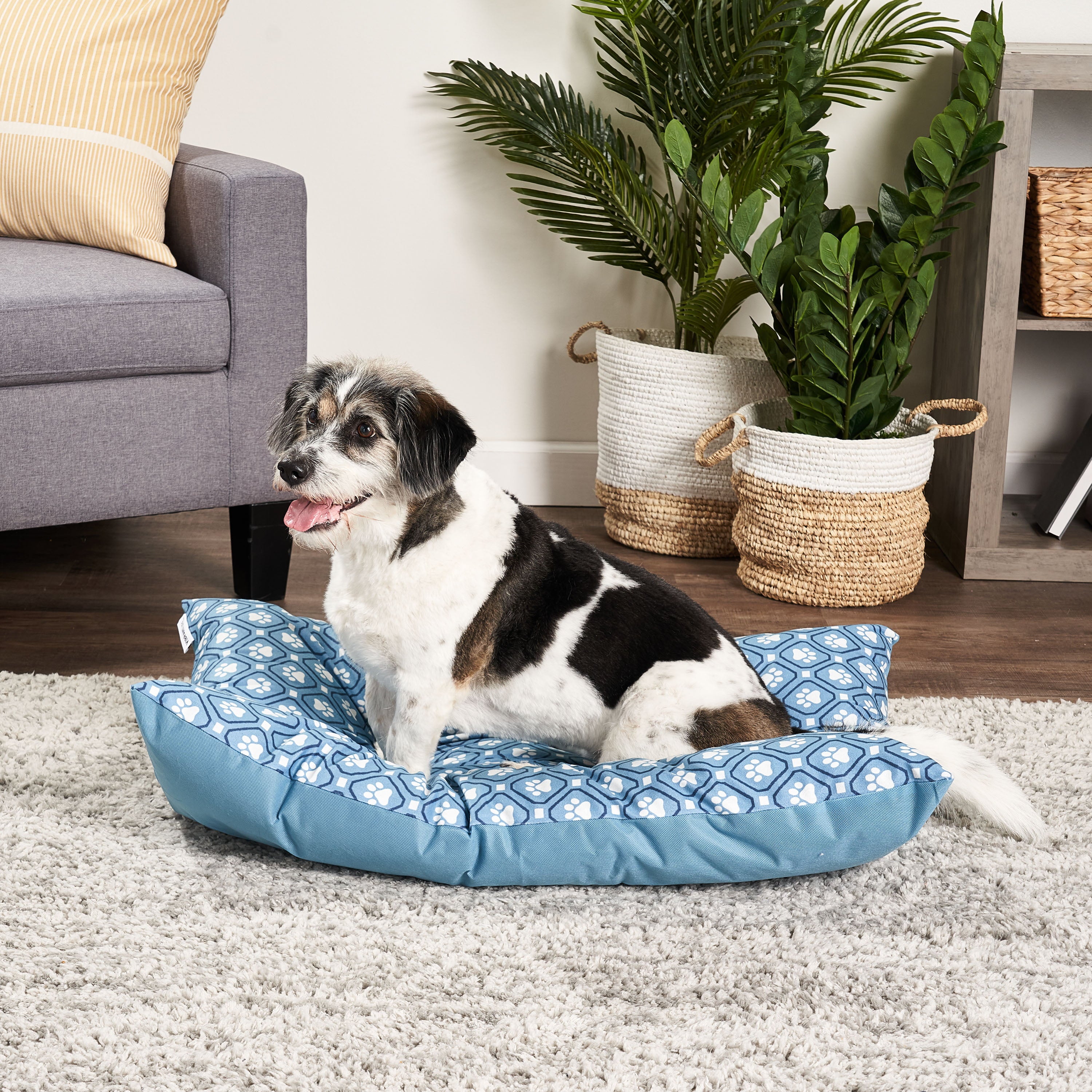 Vibrant Life Medium Tufted Plush Dog Bed， Blue Paw