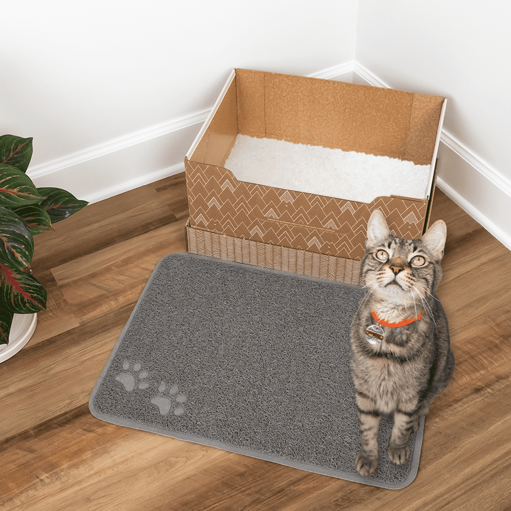 Kitty Poo Club Recyclable Cat Litter Box with Silica Crystal Litter， Large