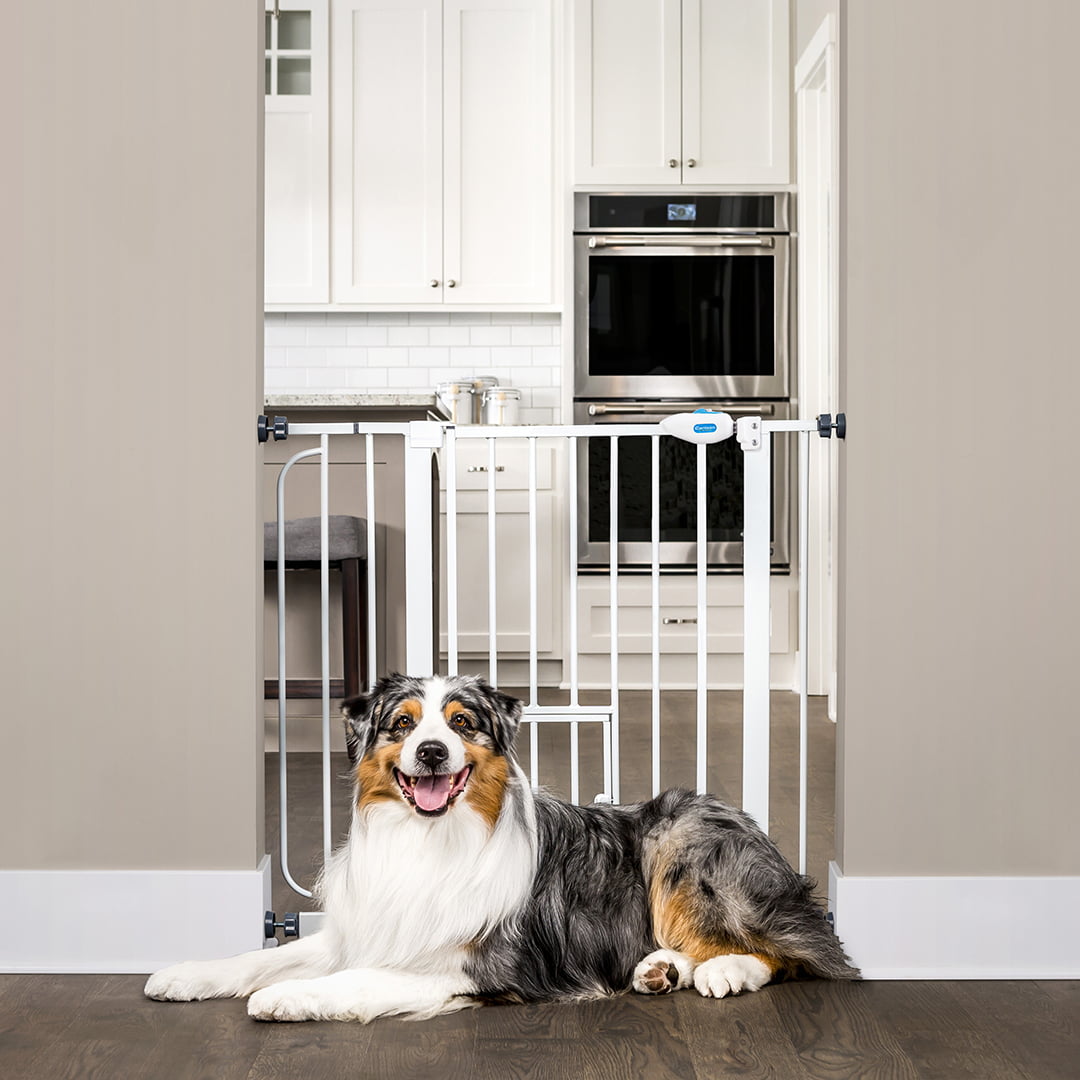 Carlson Extra Wide Walk Through Pet Gate with Small Pet Door， Pressure Mount Kit and Wall Mount Kit