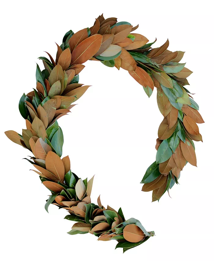 Magnolia Supply Co Fresh Magnolia Garland， 6'