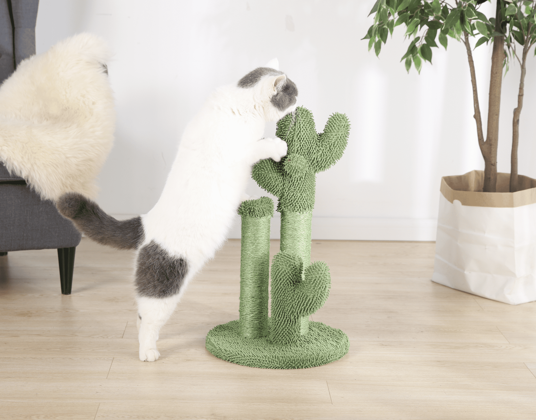 Vibrant Life Cactus 3-Arm Chenille， Sisal and Jute Cat Scratching Post with Cat Toy