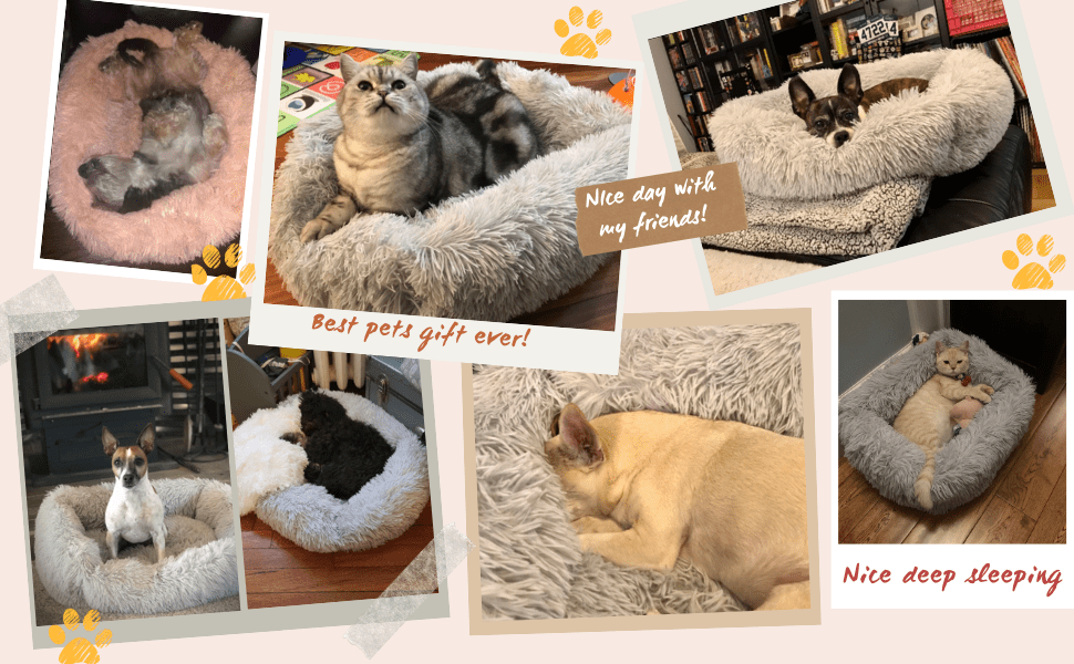 Rectangle Plush Dog Bed Cat Beds for Small Dogs，Washable Medium Pet Beds Medium（26x22x7in，Under 25 lbs）， Lightgrey