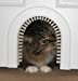CATHOLE Cat Door Classic Model - Original Interior Cat Door， Installs Easily， Removable Grooming Brush … Now … Two Models