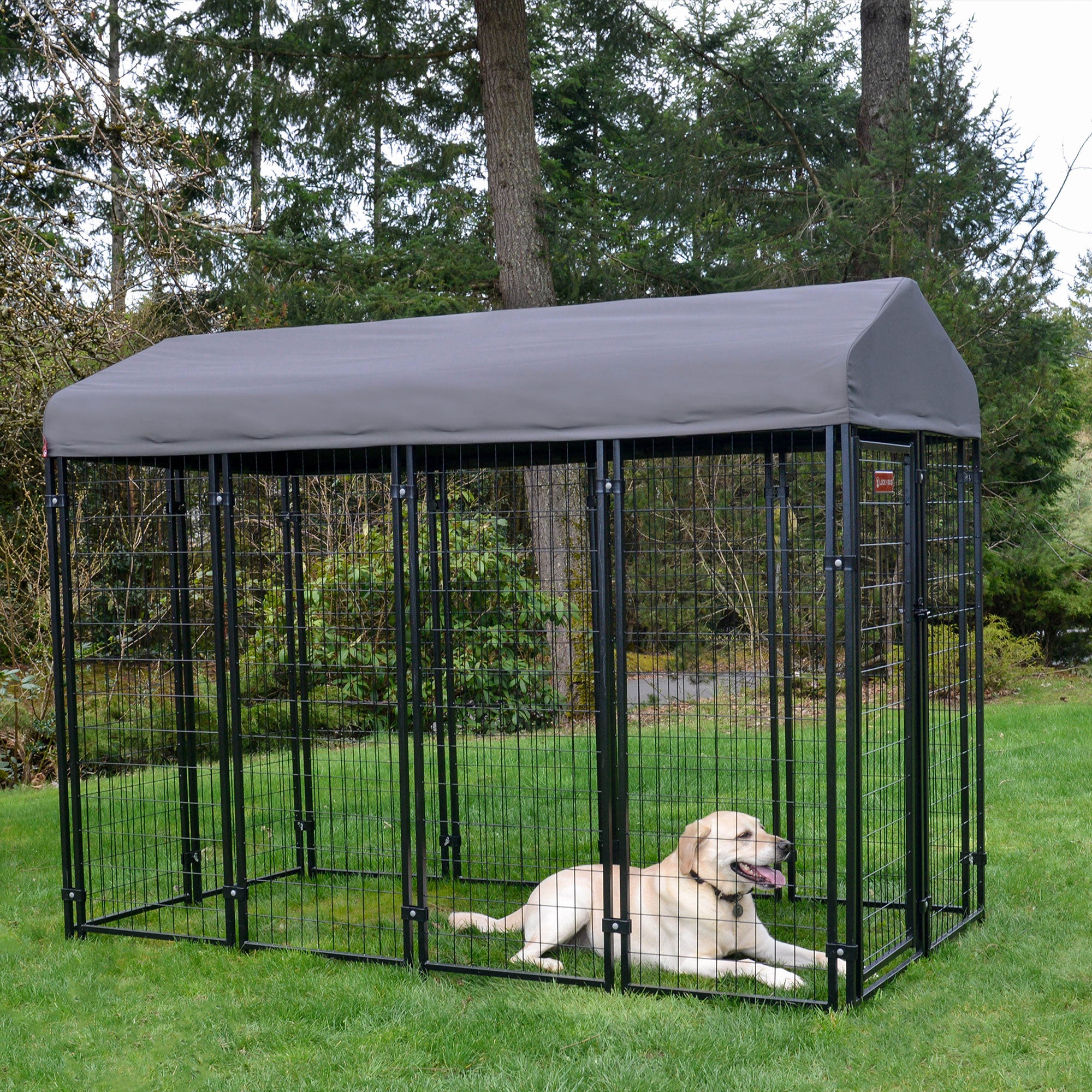 Lucky Dog STAY Series 4 x 8 x 6 Foot Roofed Steel Frame Villa Dog Kennel