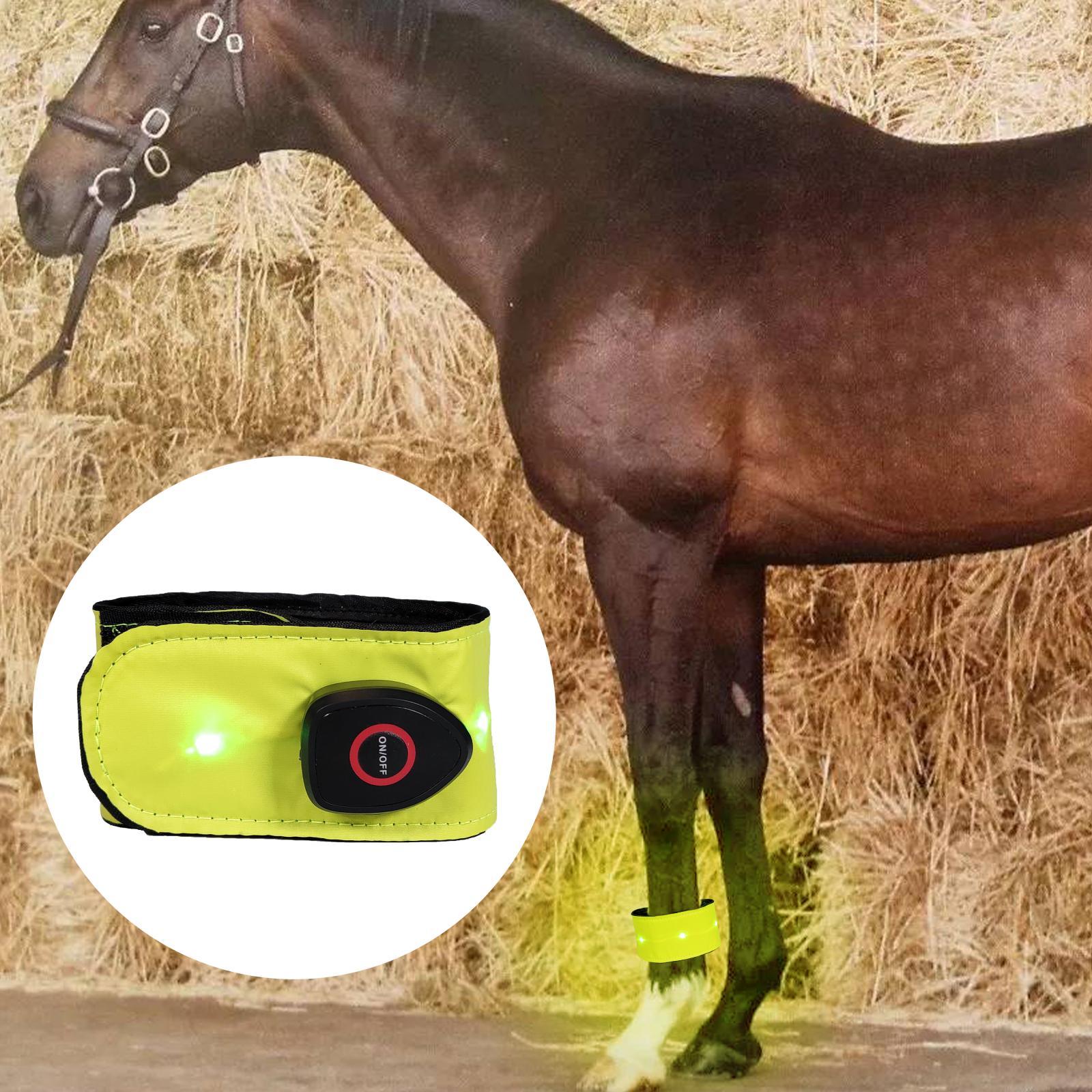 Set of 2 Reflective Horse Ankle Straps Belt Supply for Riding Jumping at Night