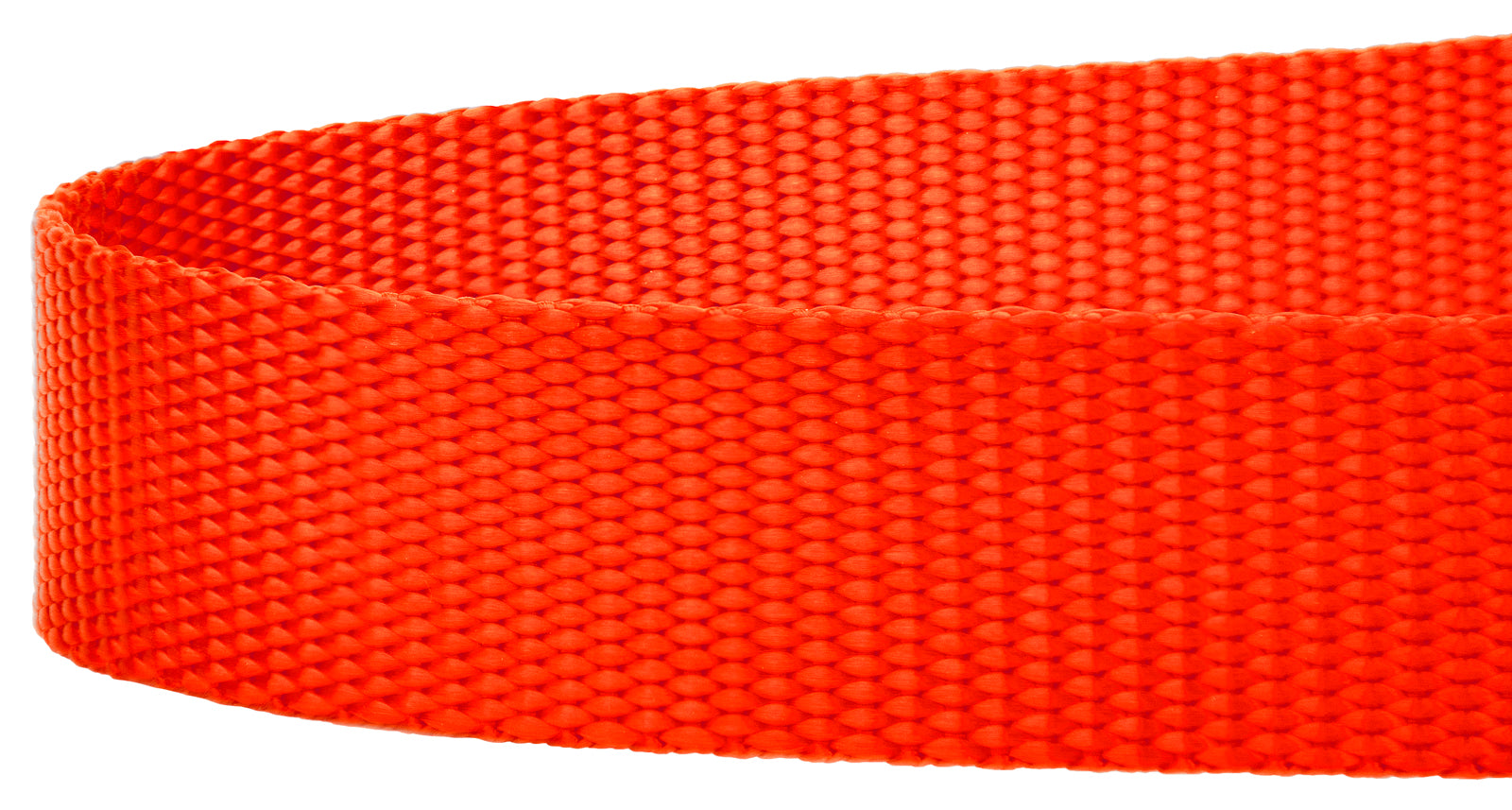 Country Brook Petz® 3/4 inch Nylon Dog Leash - Hot Orange， 6 Foot