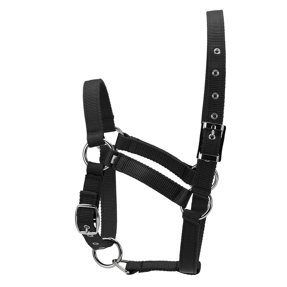 6MM Thickened Horse Head Collar Adjustable Safety Halter Bridle Headcollar