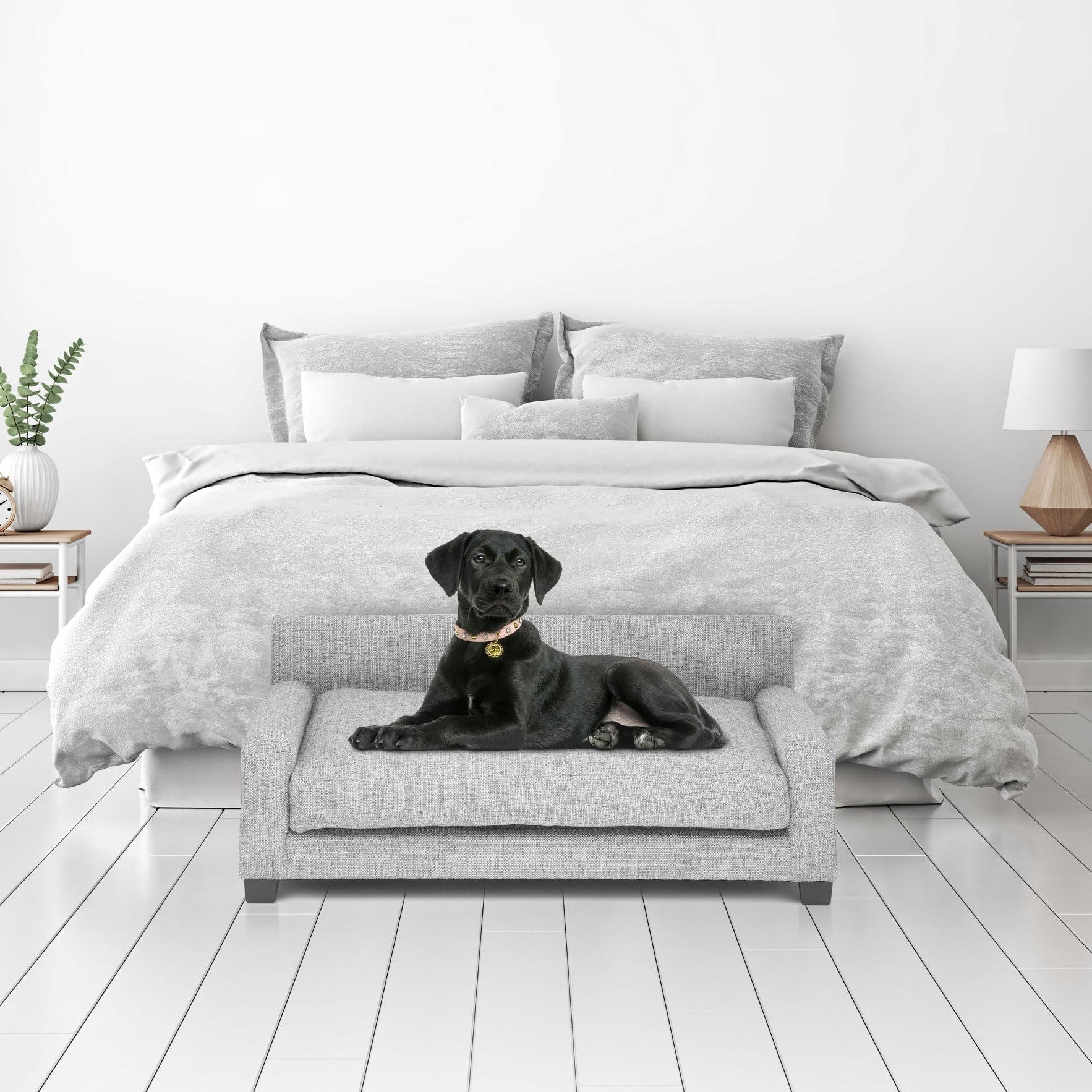 Club Nine Pets Metro Orthopedic Dog Bed， Medium， Metal.