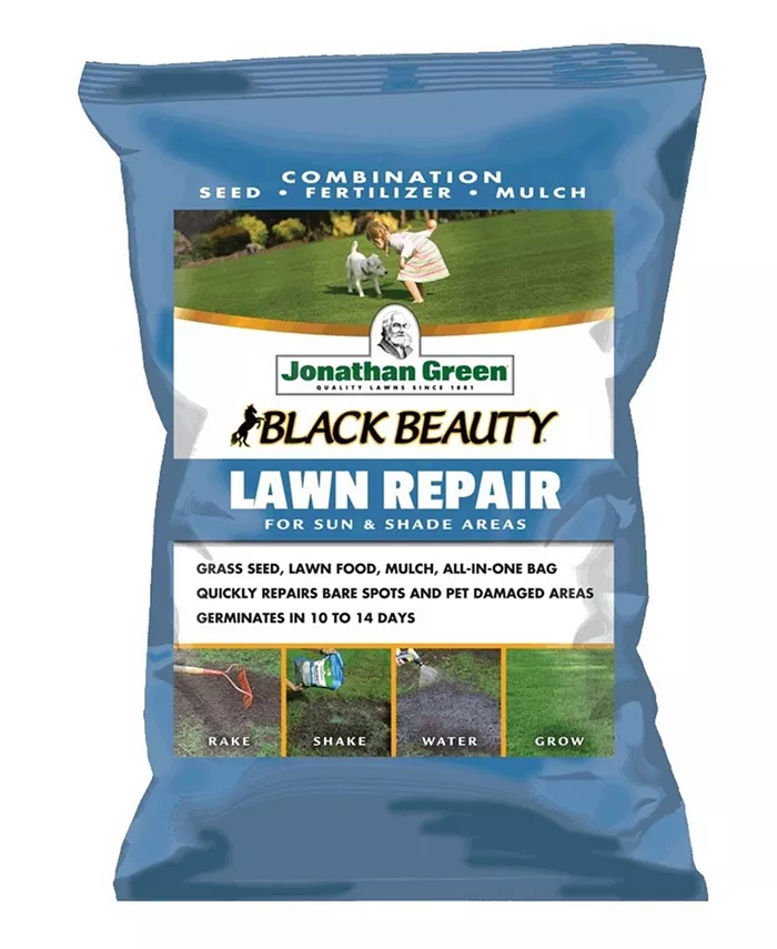 Jonathan Green Black Beauty Lawn Repair for Sun Shade， 13.5lb bag