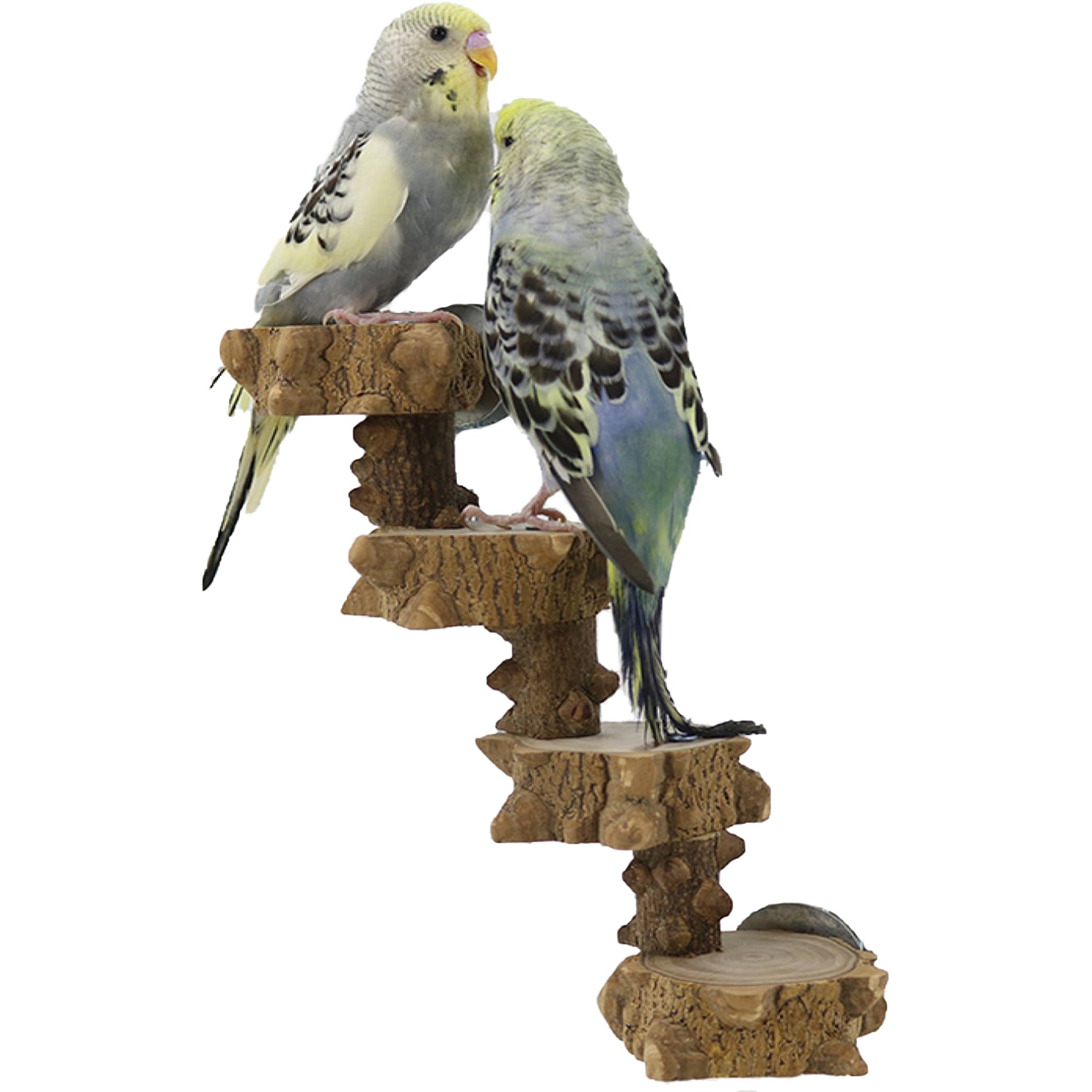 Luonfels Bird Ladder Perches Chewable Natural Wood 4 Step for Budgie Parakeet， Cage Natural Wood Play Stand Parrot Flat Perches