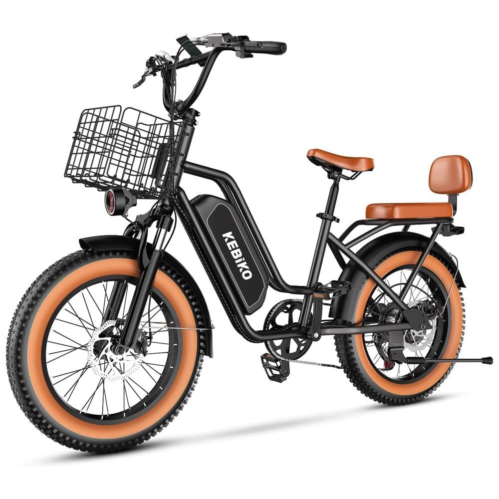 Bicicleta Elétrica para 2 Pessoas, Bateria Removível de 48V 20AH, Motor de Pico, Pneu Gordo de 20