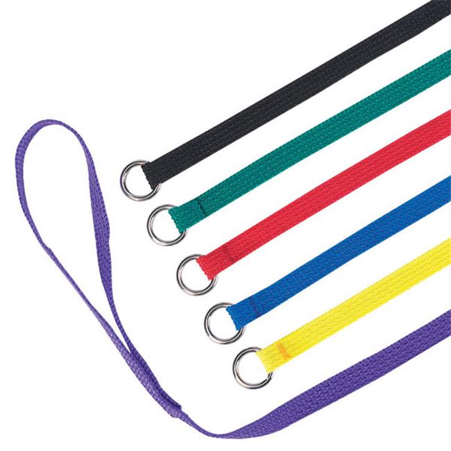 Kennel Leads 6 Ft 6-Pk Asst Colors