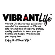 Vibrant Life Luxe Cuddler Pet Dog Bed， Medium， Gray