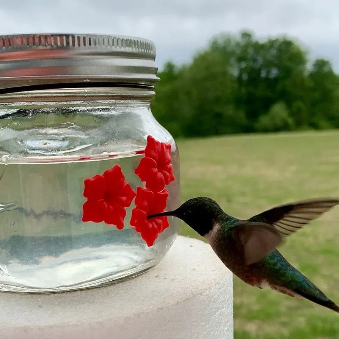 🔥 BIG SALE - 49% OFF🔥🔥- Beautiful Mason Jar Hummingbird Feede