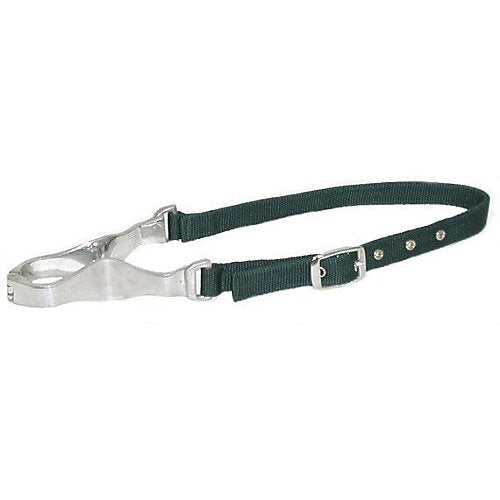 Gatsby Nylon Nutcracker Cribbing Strap Hunter