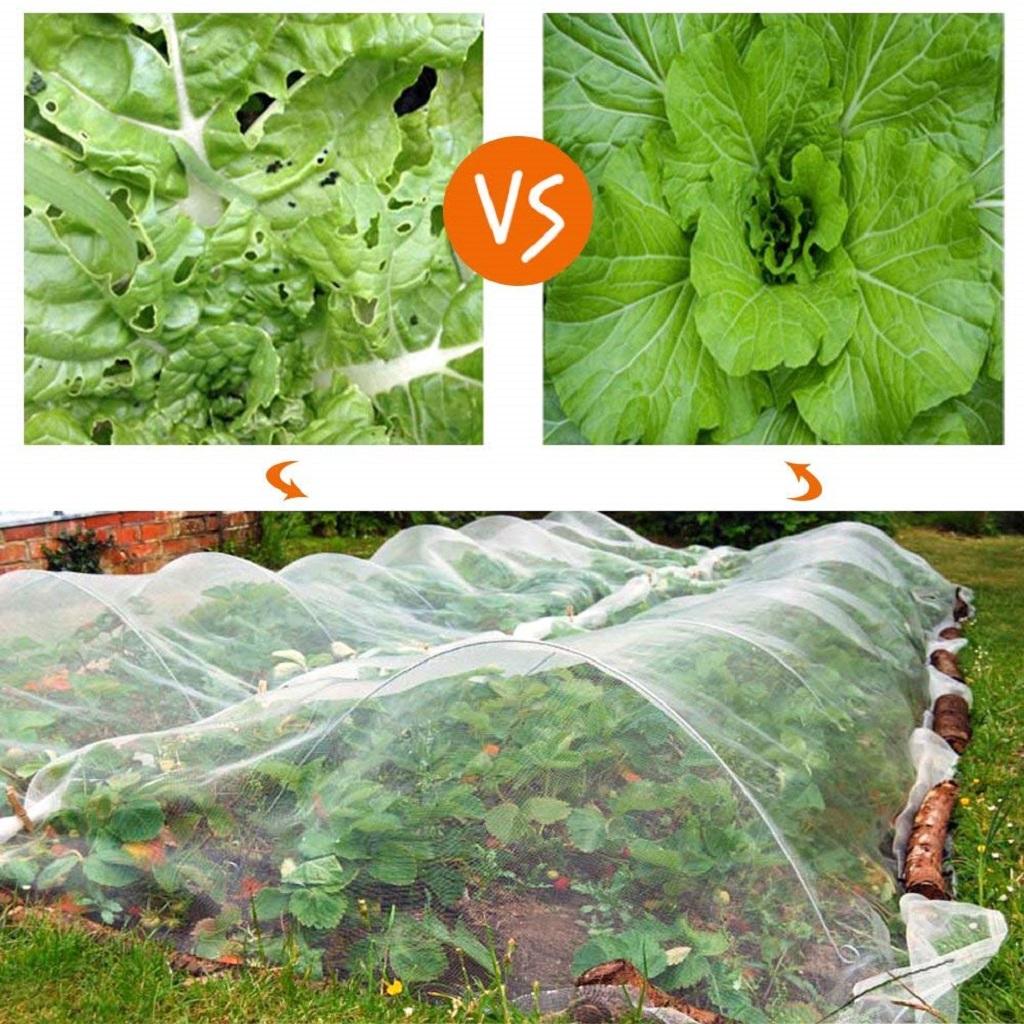 Screen Garden Netting Against Bugs Birds/Squirrels 0.25mm