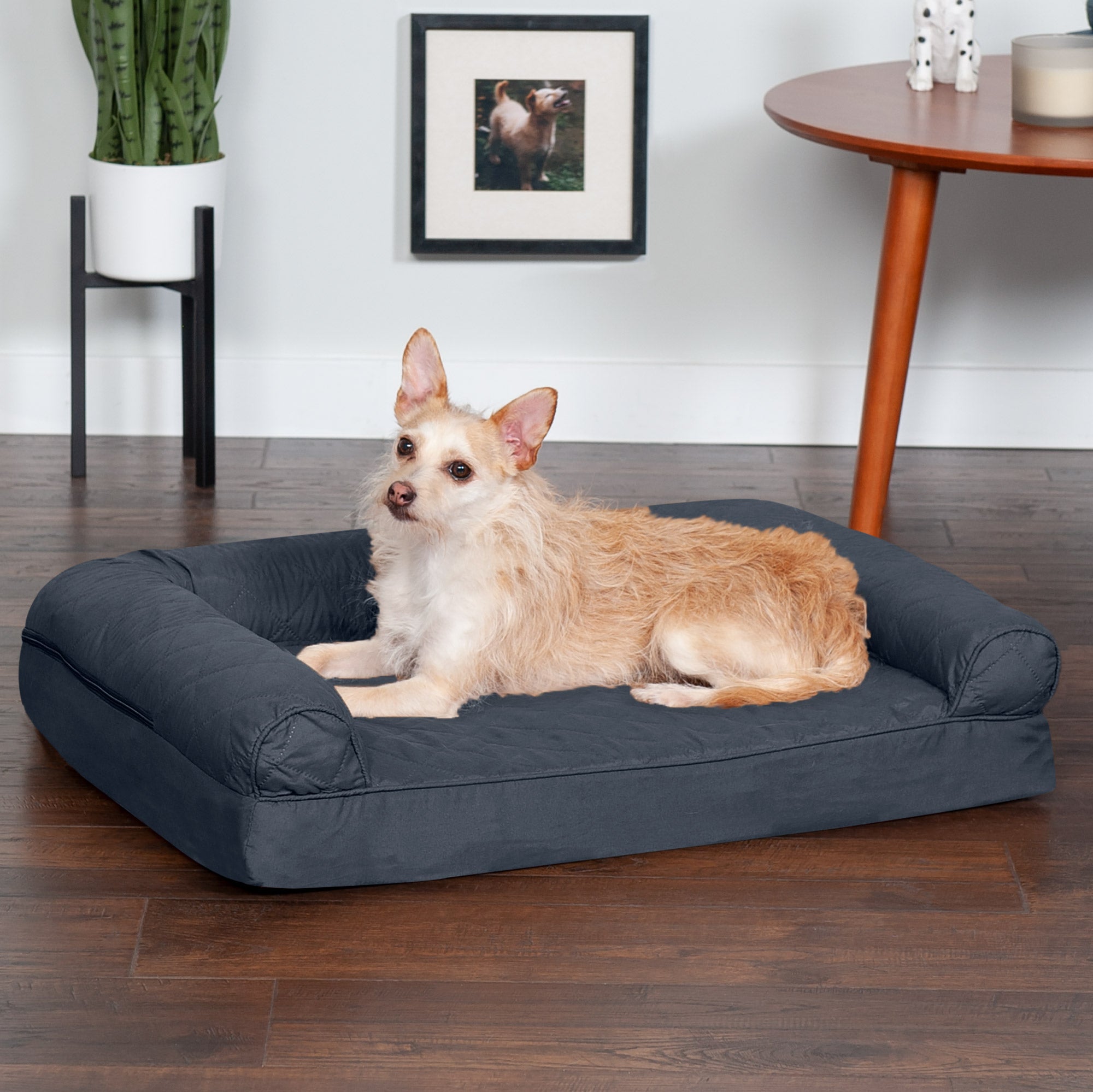 FurHaven | Orthopedic Quilted Sofa Pet Bed for Dogs and Cats， Iron Gray， Medium