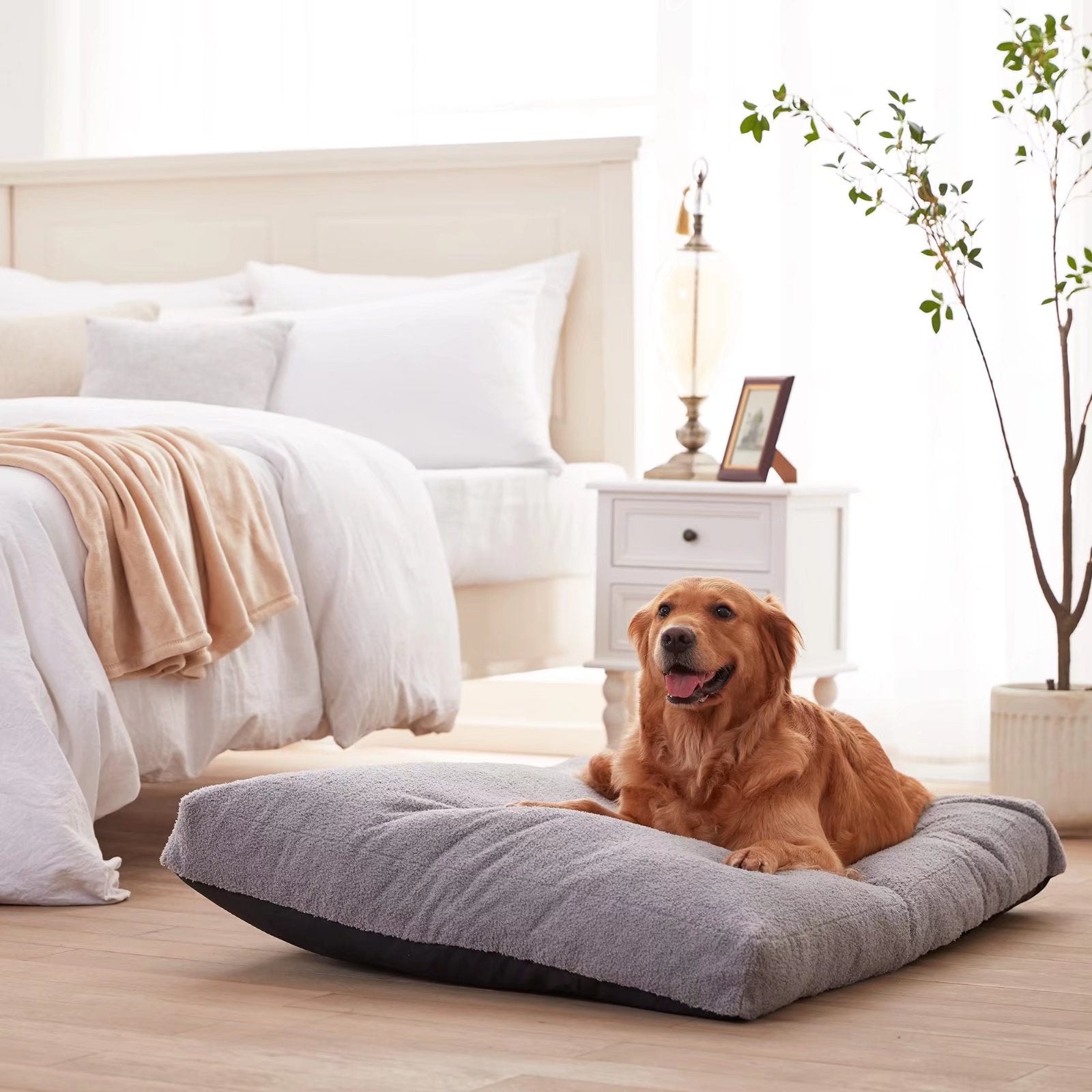 GOHOO PET Orthopedic Dog Bed with Memory Foam for Dogs and Cats，  Extra Large