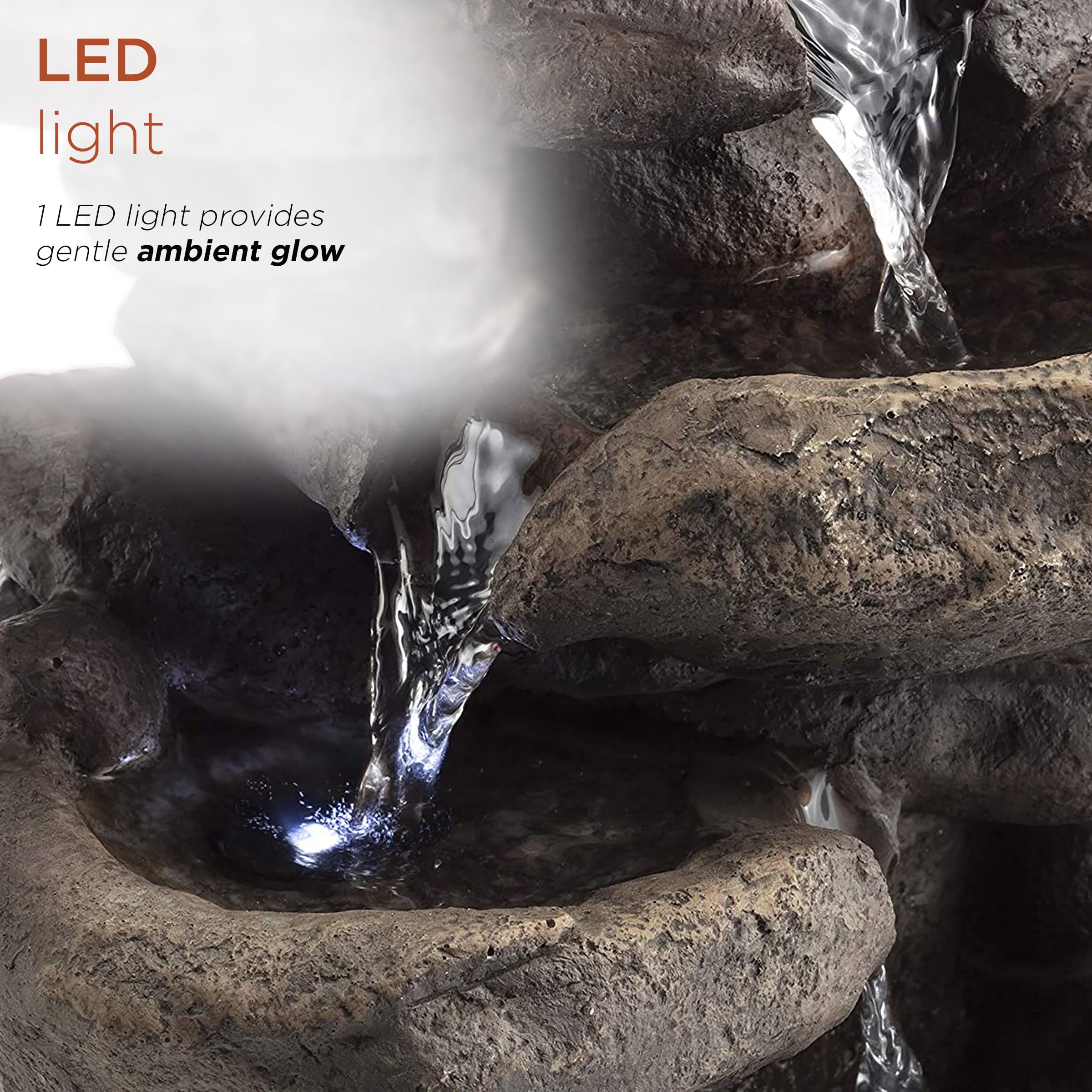 Alpine Corporation 11