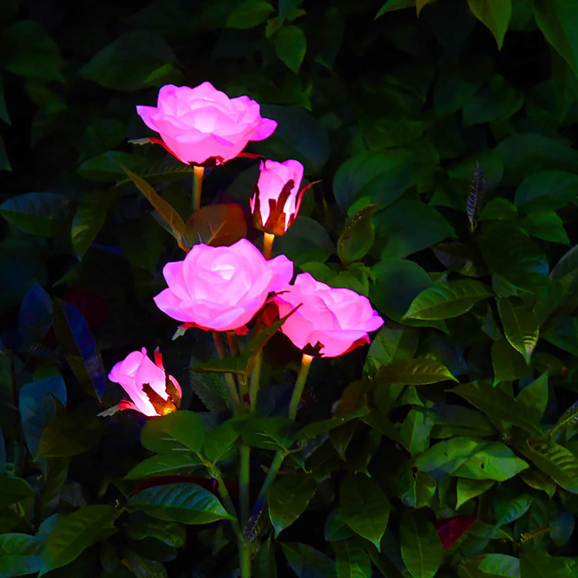 Binpure Solar-Powered Light Rose Flower Field Cutting Park Home Lamp