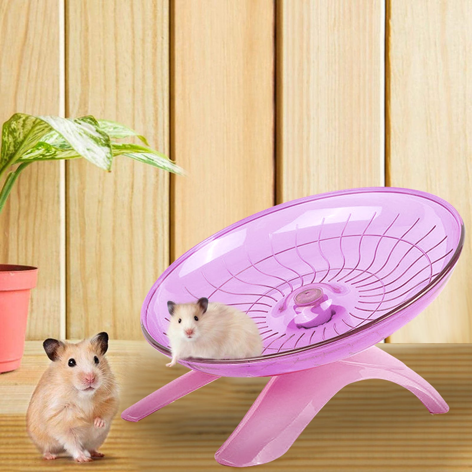 ASENKU Hamster Wheel，Super Silent Hamster Flying Saucer，Exercise Wheel and Running Wheel for Dwarf Hamster，Gerbil Rat and Small Animals