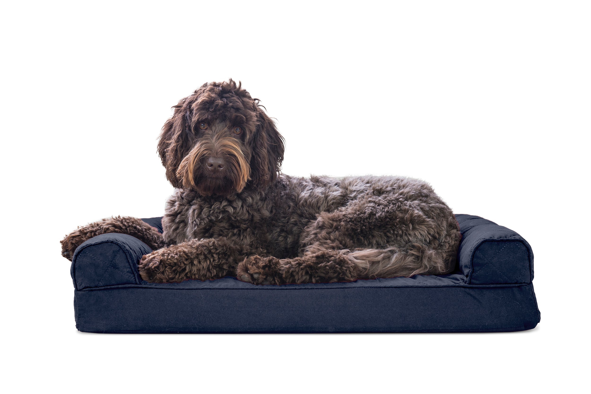 FurHaven Pet Products | Memory Foam Quilted Sofa Pet Bed for Dogs and Cats - Navy， Medium