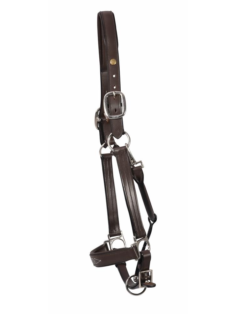 Henri De Rivel Pro Fancy Padded Rolled Throat Triple Stitched Halter