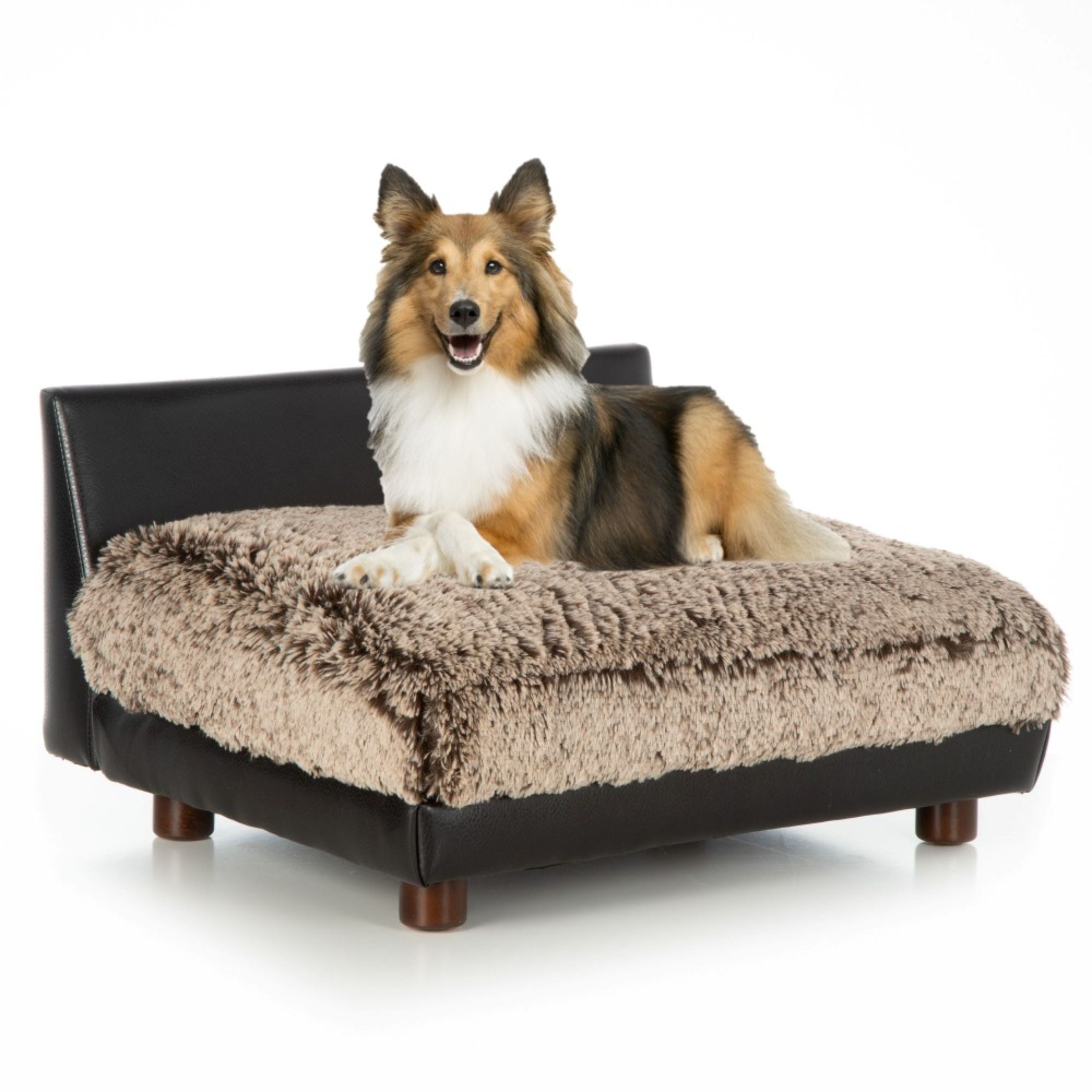 Club Nine Pets Roma Orthopedic Dog Bed， Large， Brown.