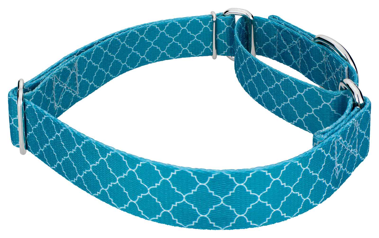 Country Brook Petz® Classy Chic Martingale Dog Collar Limited Edition， Mini
