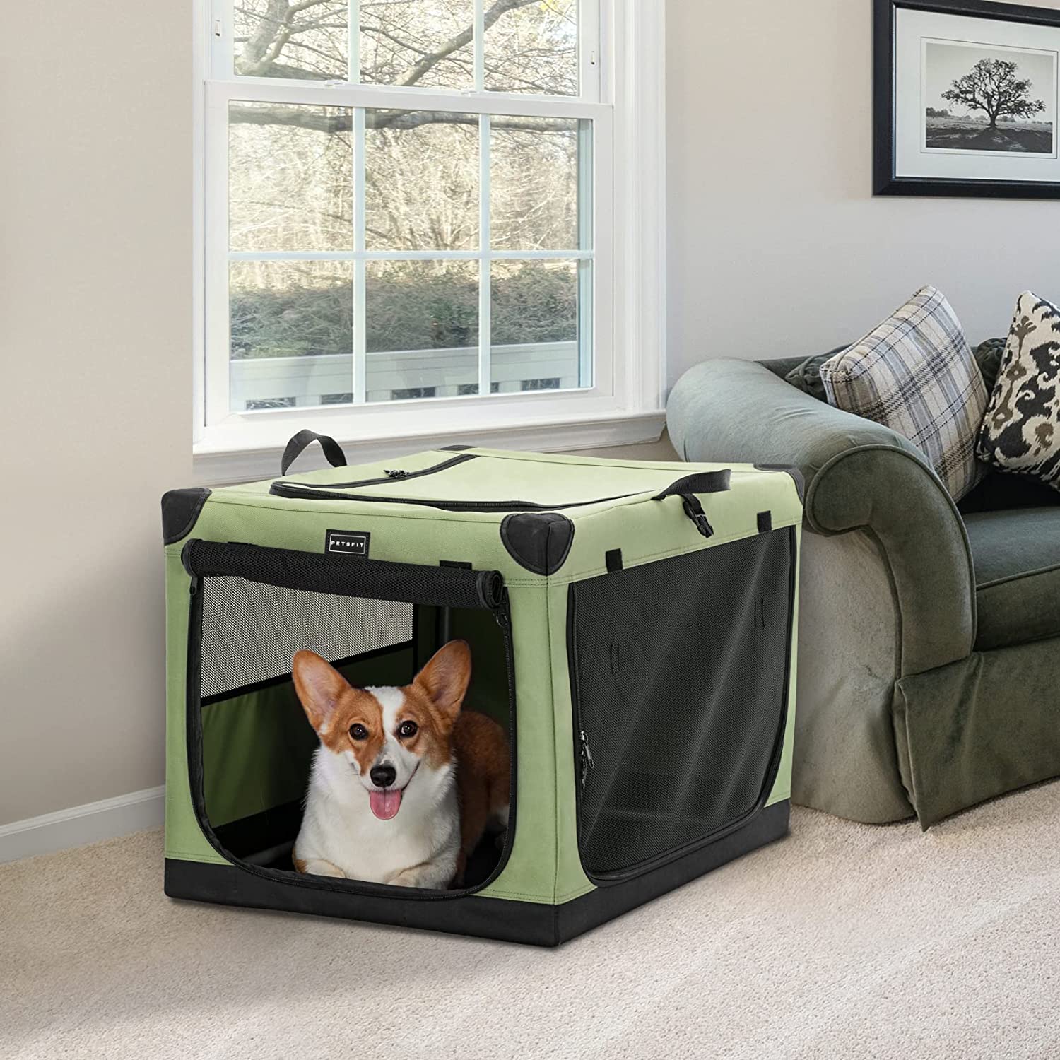 Portable Soft Medium Dog Crate， Indoor and Outdoor Crate for Pets， for Medium Dog Green 30 x 20 x 19 Inches
