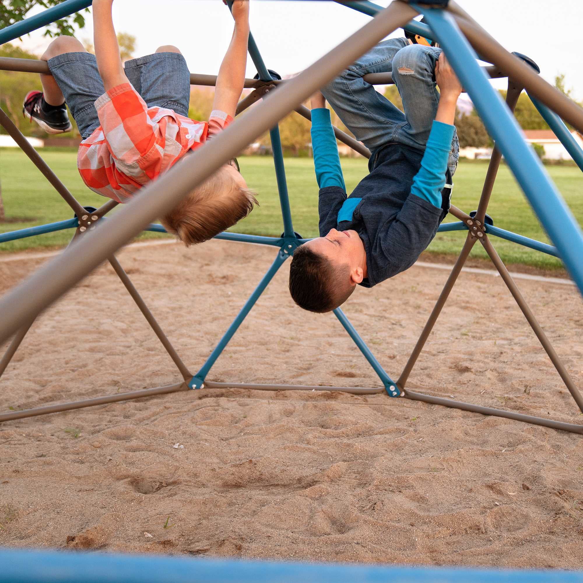 Lifetime Kid's 54 inch Dome Climber， Blue and Brown (91012)