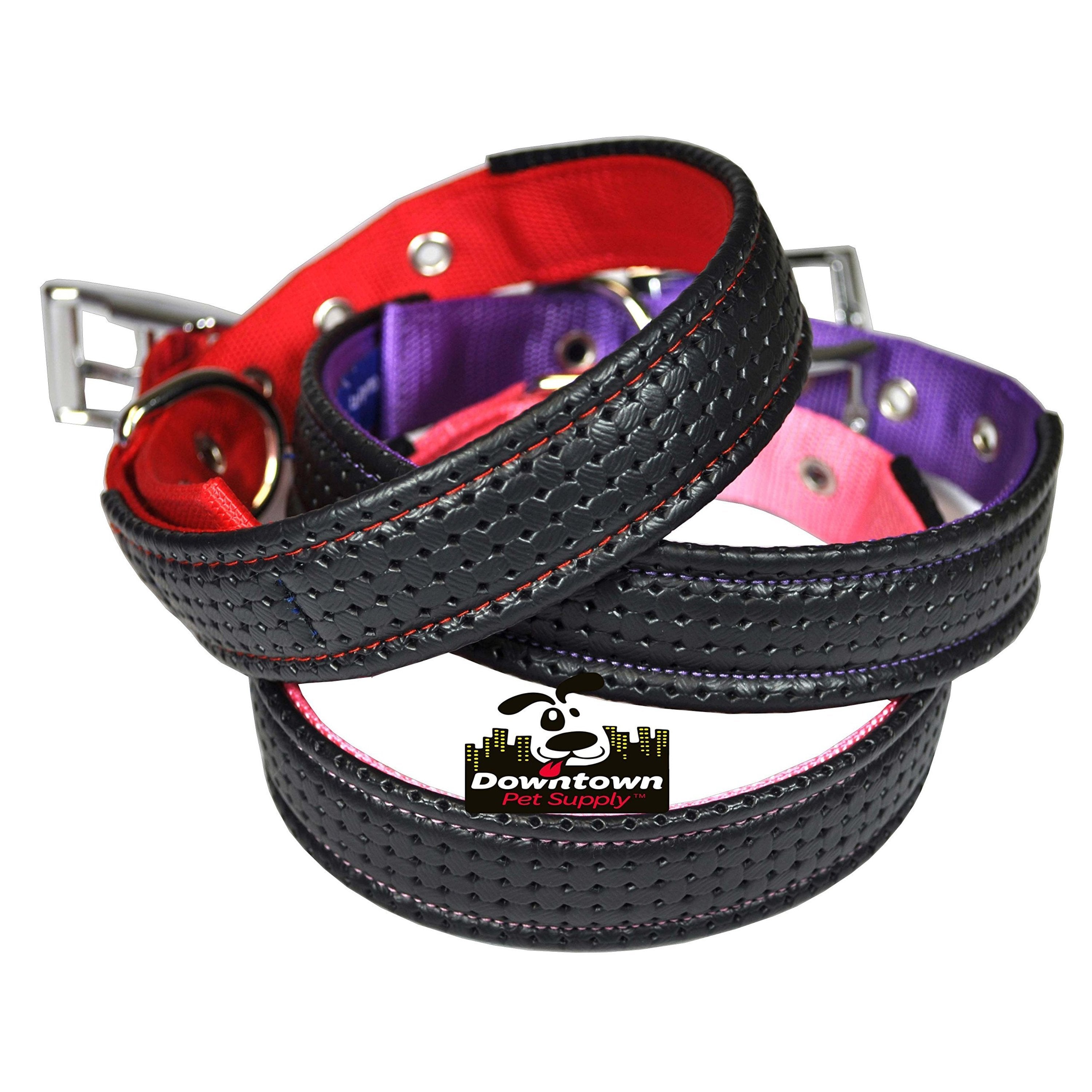 Downtown Pet Supply Dog Collars for Small Dogs Padded Dog Collar Black， S