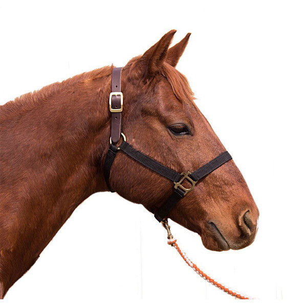 Intrepid International 123049 Poly Breakaway Horse Halter Yearling - Purple