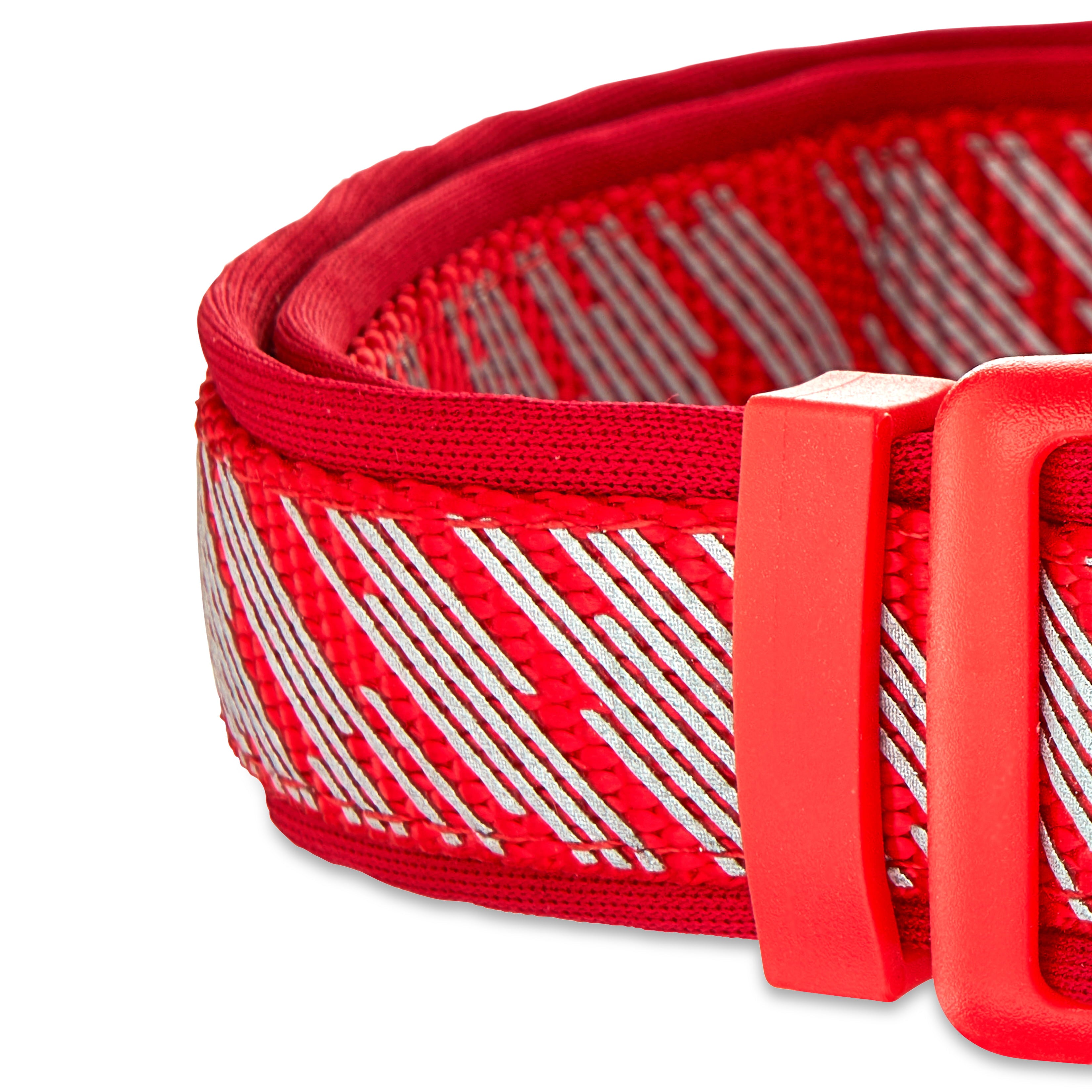 Vibrant Life Padded Reflective Dog Collar， Red， Large