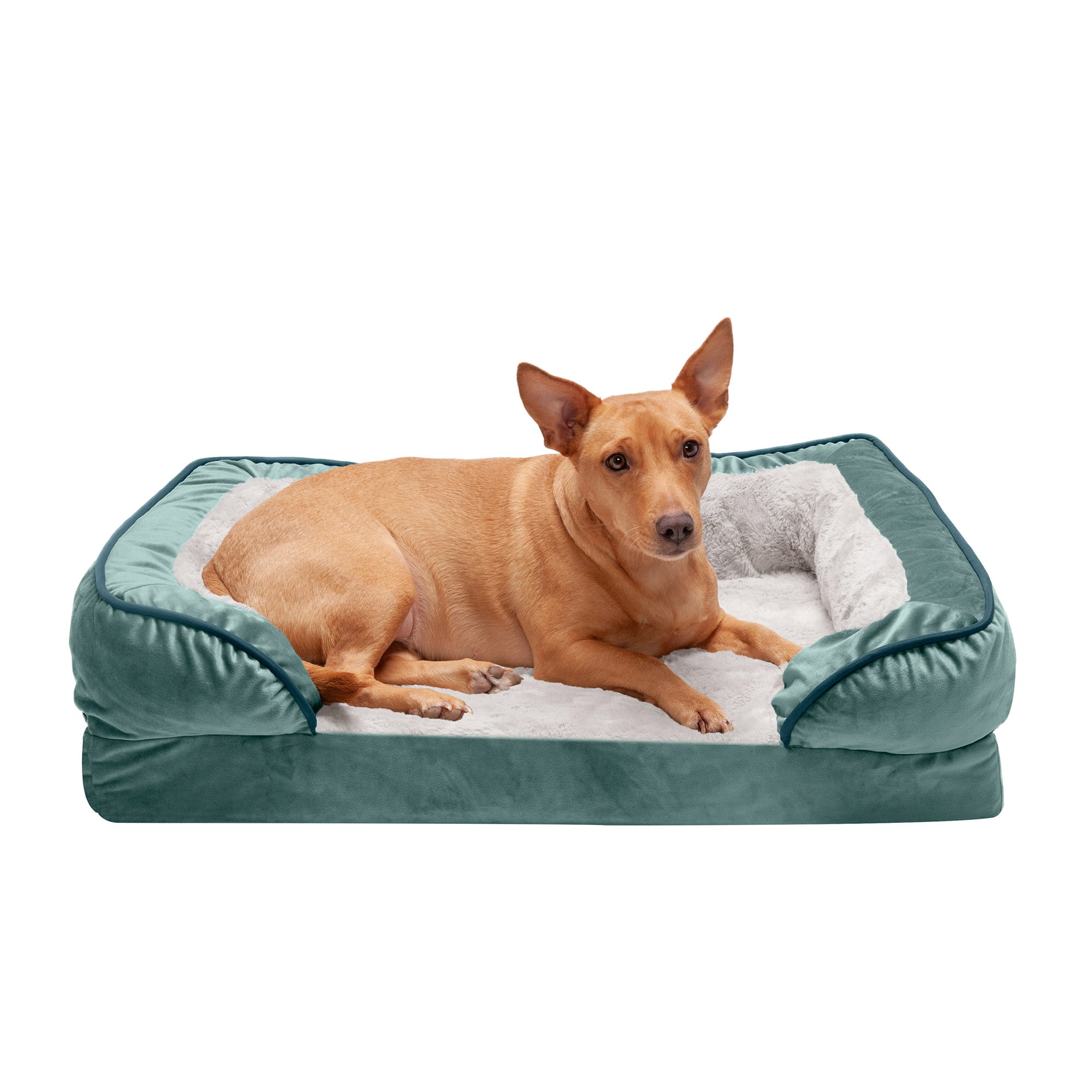 FurHaven Pet Products | Convolute Orthopedic Perfect Comfort Velvet Waves Sofa-Style Couch Pet Bed for Dogs and Cats， Celadon Green， Medium