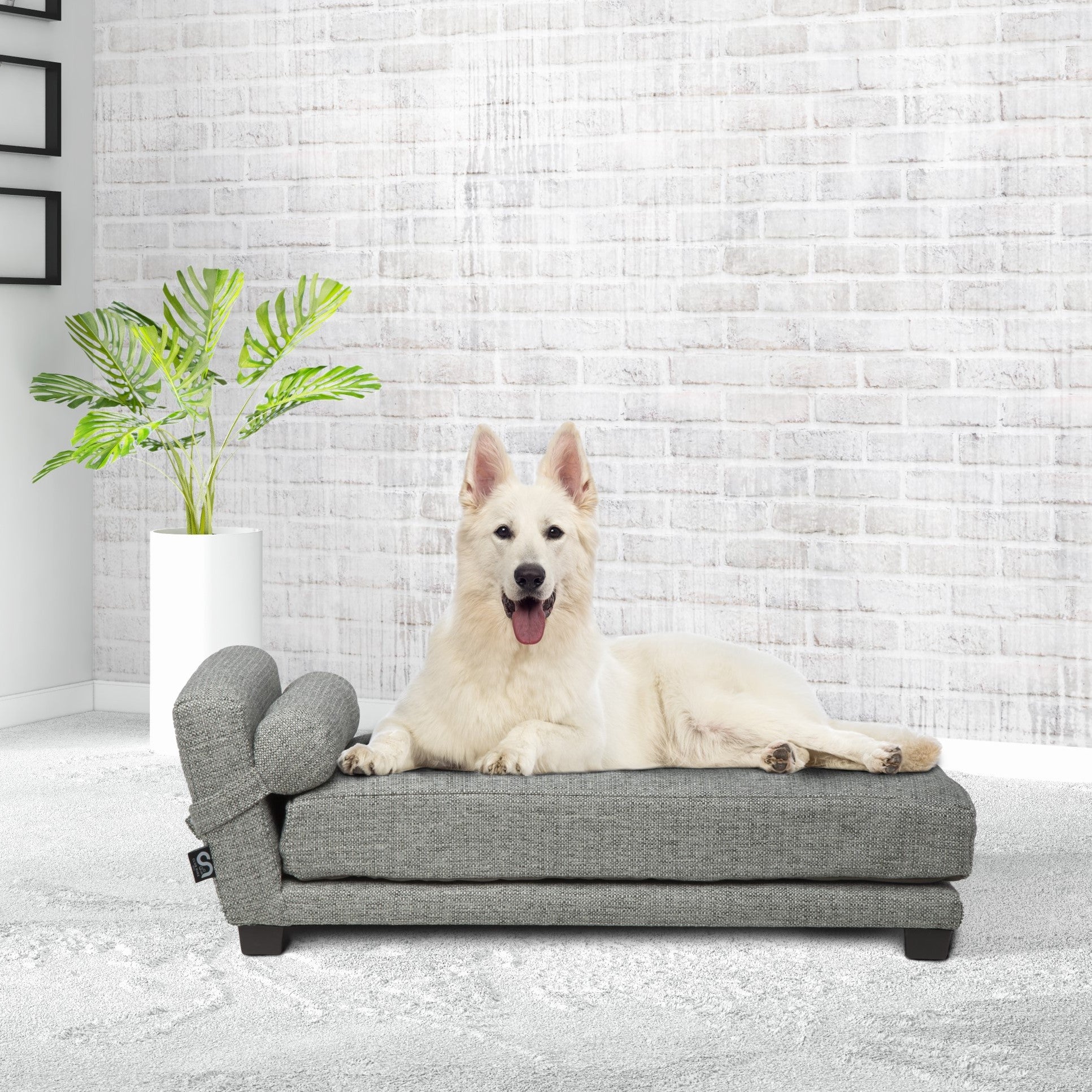 Club Nine Pets Bada Orthopedic Dog Bed， Small， Metal.