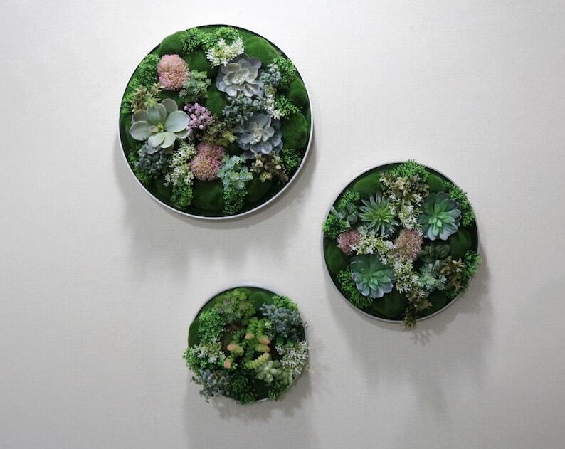 Unique Realistic 3D Rustic Faux Artificial Succulents Living Wall Art