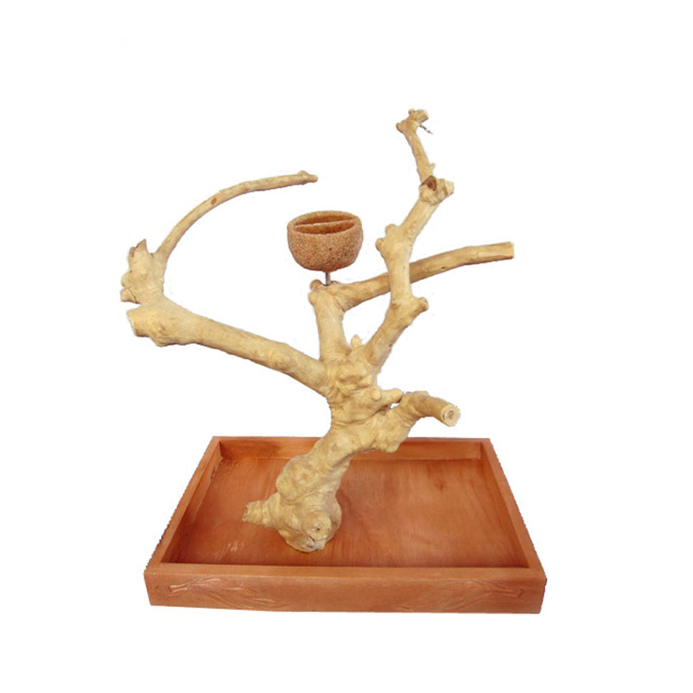 AandE Cage Company Small Java Table Top - 15