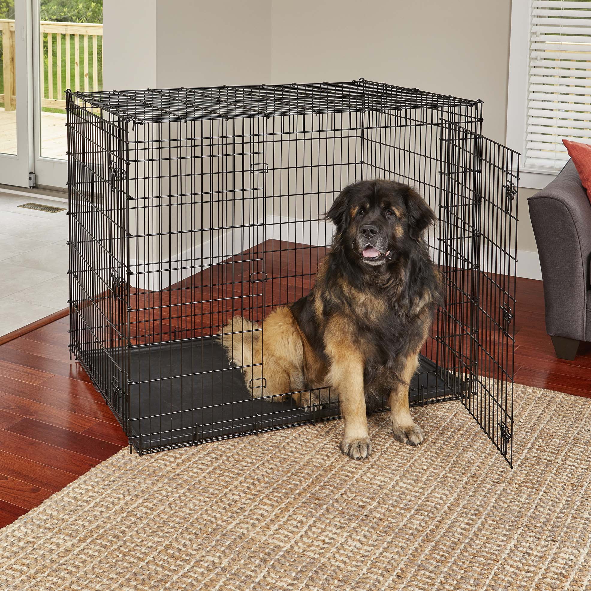 MidWest Homes For Pets XX-Large Double-Door Metal Wire Dog Crate， 54