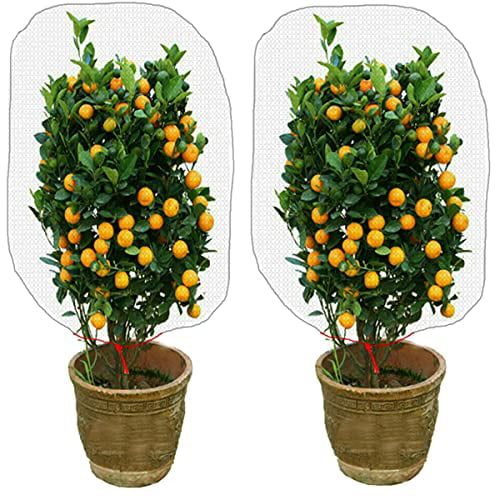 2PCS Insect Barrier Fine Plant Netting Covers- 47×31.5in Garden Pest Bugs Bird Mesh Netting Bags with Drawstring for Protecting Fruit Trees Plants from Cicadas Squirrels Birds Animals