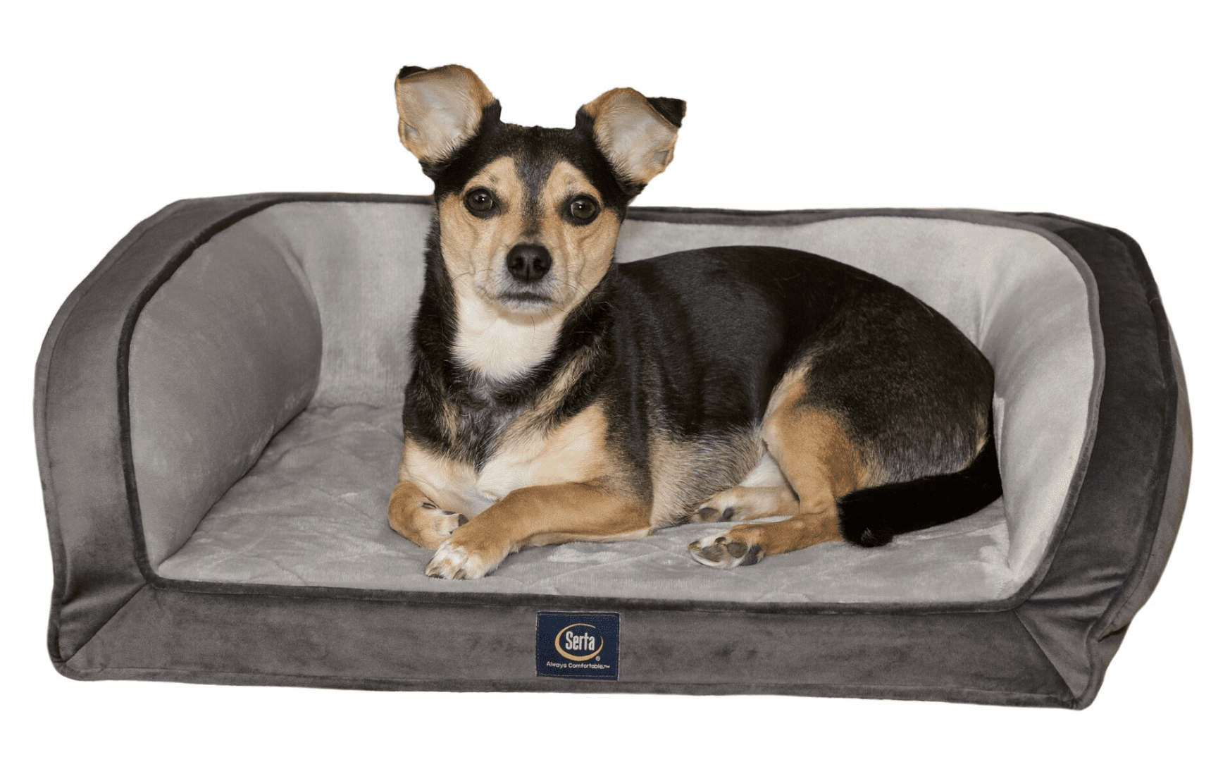 Serta Gel Memory Foam Quilted Ortho Couch Dog Bed， Small， Grey