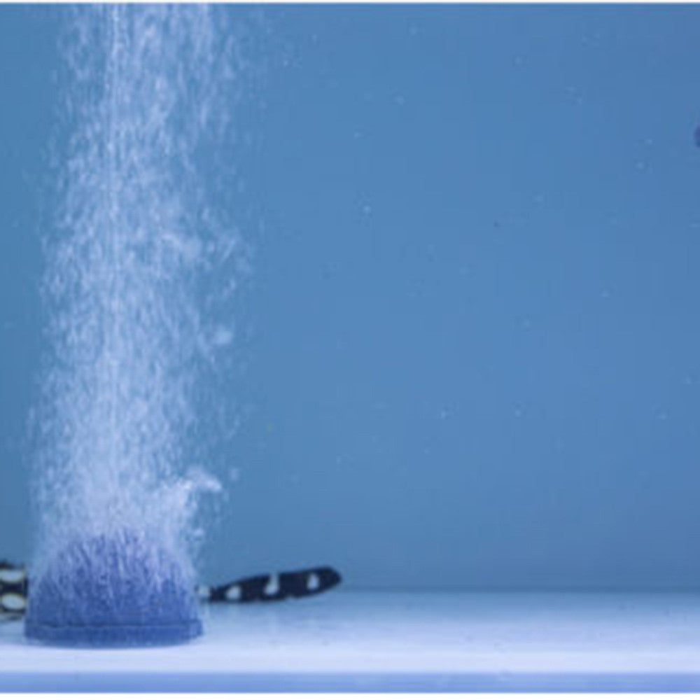 WANYNG Tank Fish Disk Hydroponics Oxygen Aquarium 60mm Pump Air Bubble Stone Aquarium accessoriesOne Size