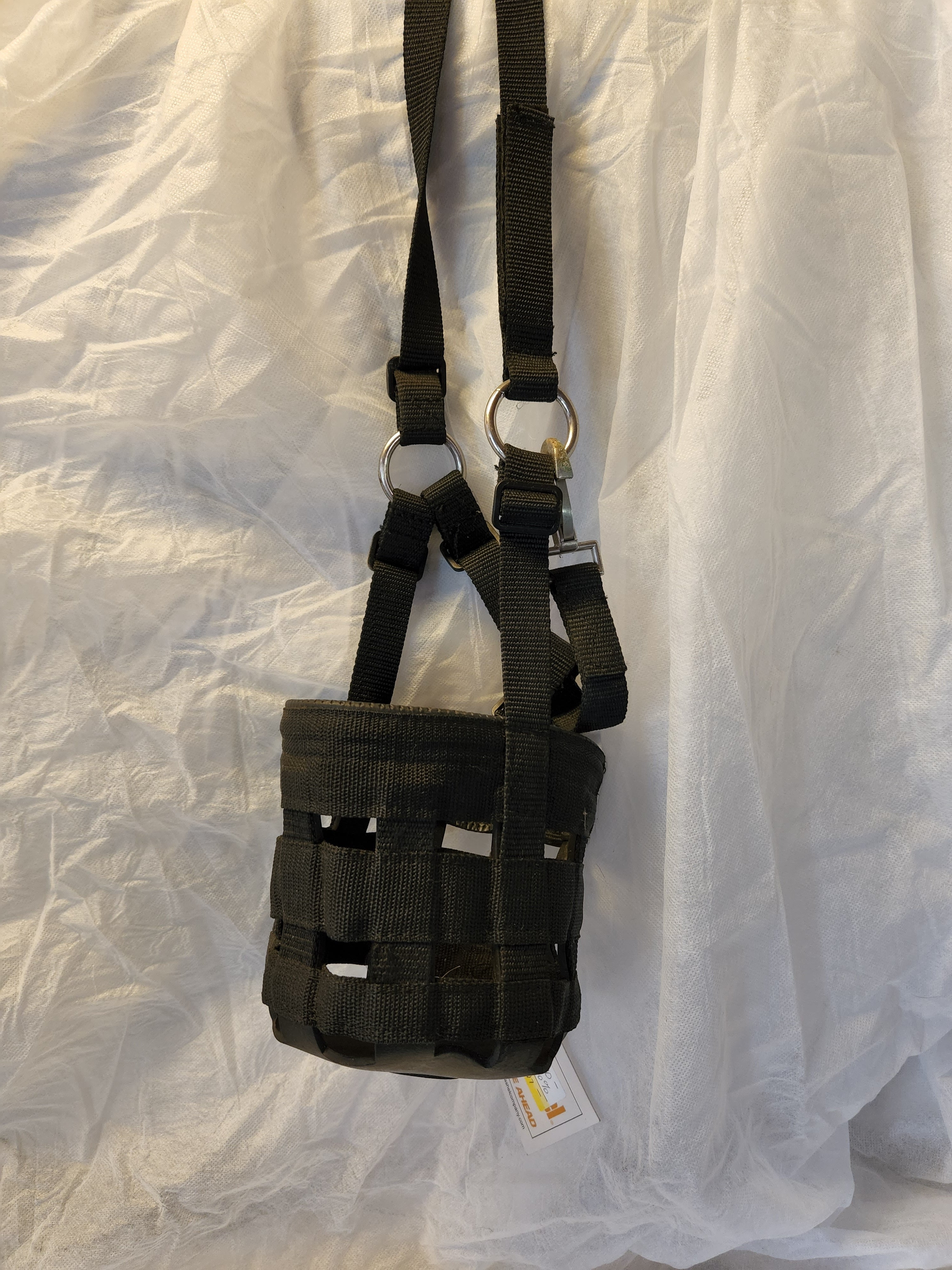 Cashel Company GMH Grazing Muzzle Halter Black Pony