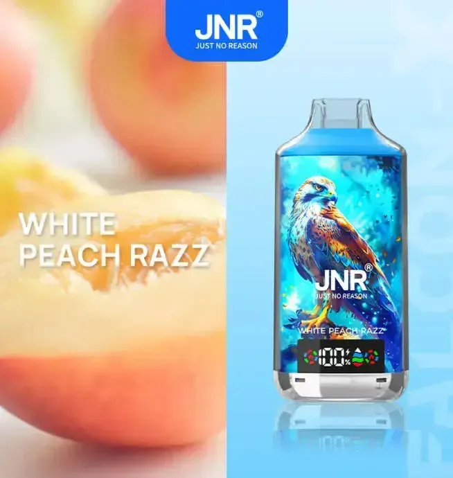 🔥JNR Falcon-X 18K 💨 Smart Display Disposable