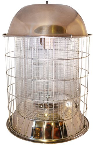 Best Grackle Squirrel Proof Bird Feeder by Bird Lovers