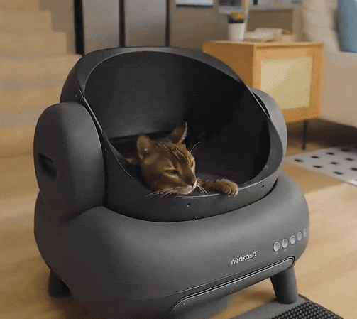 Automatic Cat Litter Box with Odor Removal & Smart App Control | Self-Cleaning Multi-Cat Robot