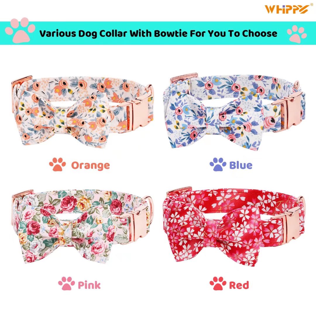 WHIPPY Dog Collar with Bowtie， Adjustable Girl Dog Collar for Small Medium Large Dogs