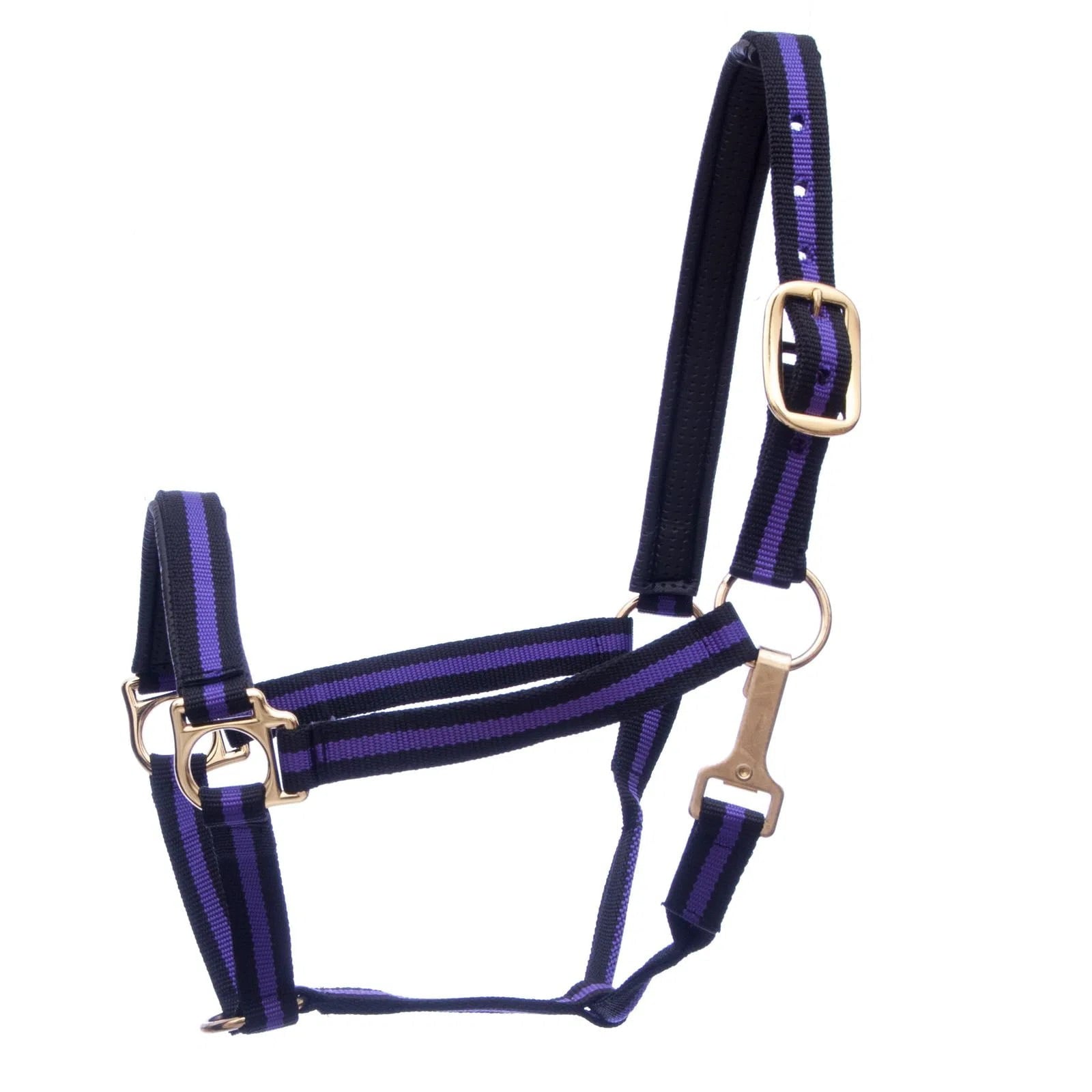 Jeffers Padded Halter with Snap | Purple/Black